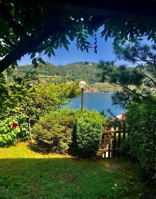 Villa Giardino Con Pontile Sul Lago D'Orta In Riva Orta San Giulio Exterior photo